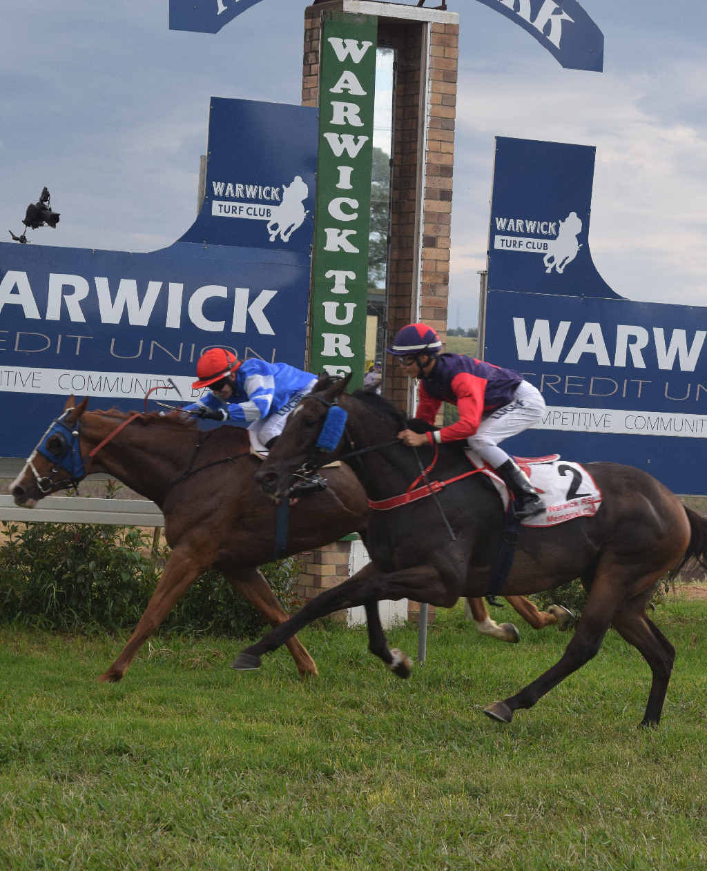 RIGHT: The Warwick-trained Ollie Runs Riot was neck and neck with Quality Man in his win in the Brian Bunch Plumbing Class 2 Handicap at the Warwick Turf Club’s Boxing Day races. RIGHT: The Warwick-trained Ollie Runs Riot was neck and neck with Quality Man in his win in the Brian Bunch Plumbing Class 2 Handicap at the Warwick Turf Club’s Boxing Day races.